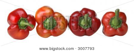 Paprika