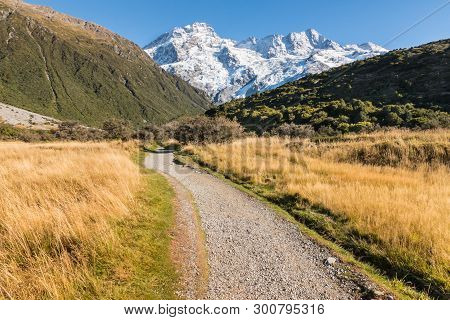 Mount Sefton In Mt Cook National Park, Southern Alps, New Zealand
