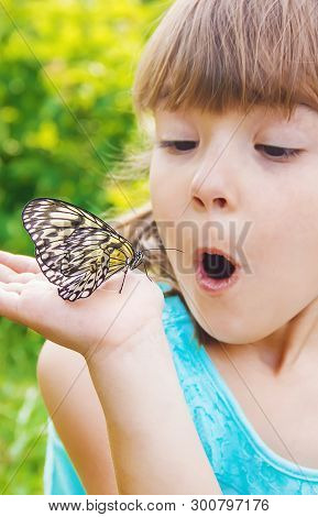 Child With A Butterfly. Idea Leuconoe. Selective Focus.
