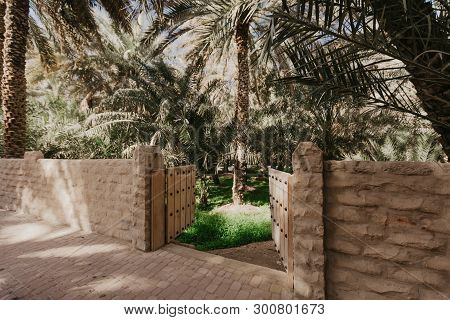View Of The Unesco Enlisted Oasis In Al Ain, Uae