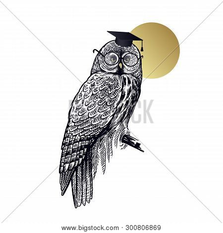 Owl In Square Academic Cap And Glasses Isolated On Background Of Moon. Symbol Of Knowledge Wisdom An