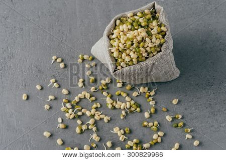 Green Orgnaic Mung Beans With Sprouts Spread Near Small Sack, Isolated Over Grey Background. Selecti