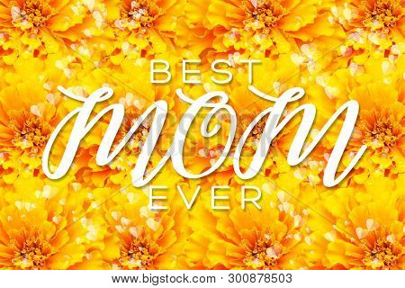 Happy  Mother's Day Layout Design With Flower Petal Background. Best Mom/mum Ever Cute Design For Me
