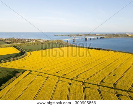 Fehmarn, Germany - May 11, 2019: Aerial Drone View Of Fehmarn Bridge And Yellow Rapeseed Fields.
