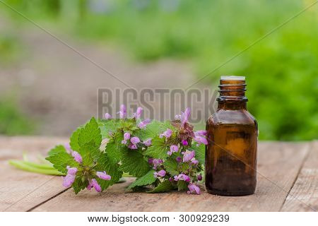 Pharmaceutical Bottle Of Medicine From Thymus Vulgaris, Common Thyme, German, Garden Or Just Thyme O