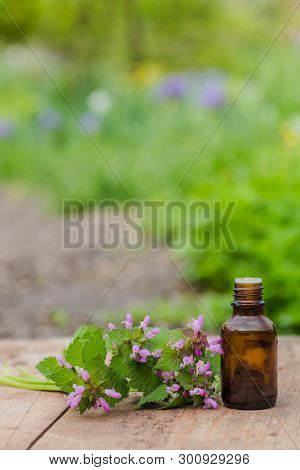 Pharmaceutical Bottle Of Medicine From Thymus Vulgaris, Common Thyme, German, Garden Or Just Thyme O