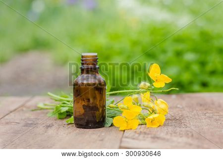 Pharmaceutical Bottle Of Medicine From Yellow Flowers Of Chelidonium Majus, Celandine, Nipplewort, S