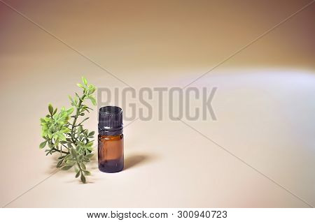 Small Brown Five Milliliter Essential Oil Bottle With Plant