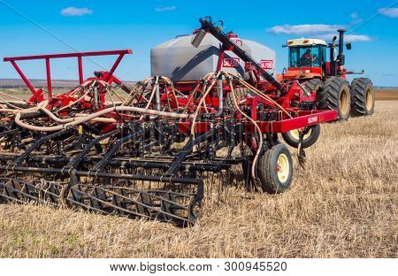 DECABRIST VILLAGE, SARATOV REGION, RUSSIA - 28 APRIL 2019: Sowing works on the wheat field. Planting complex - tractor and seeder mechanism