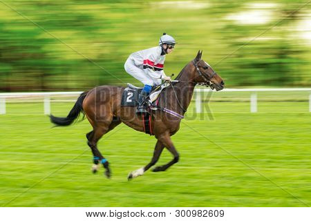 Single jockey on horse racing outdoor derby heading to finish line. Outdoor sport and competition.
