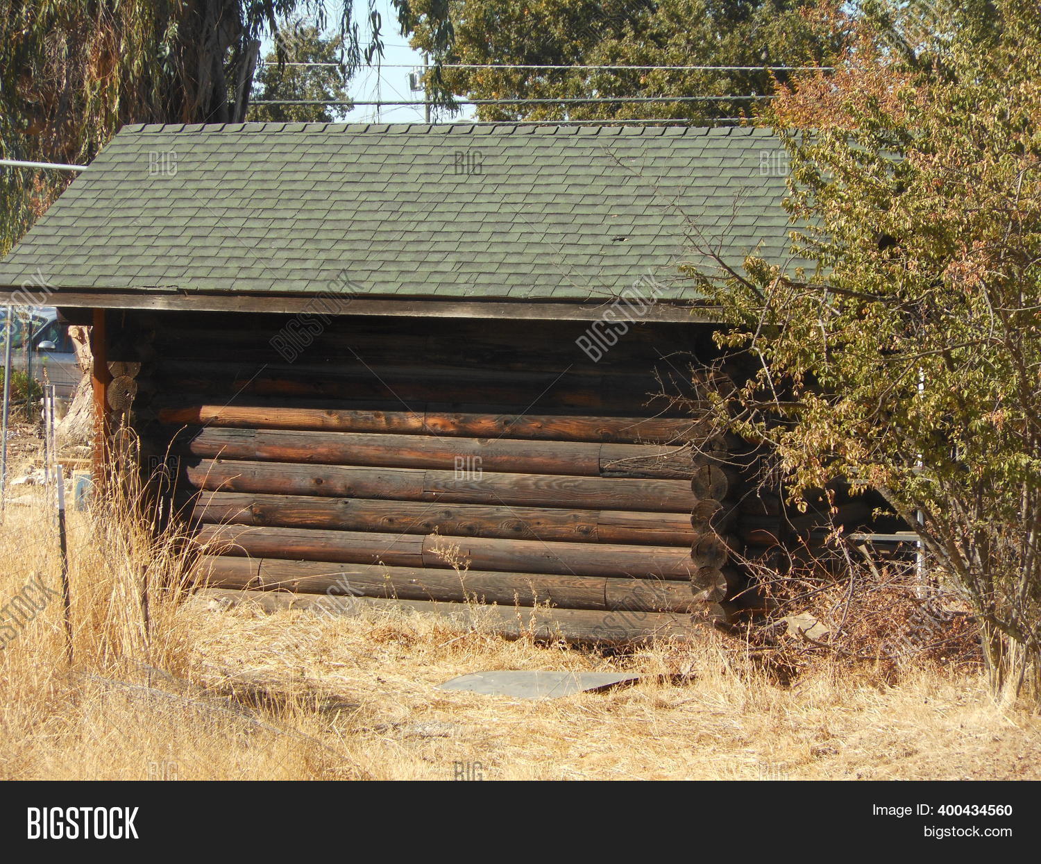 Log Cabin Green Roof Image & Photo (Free Trial) | Bigstock