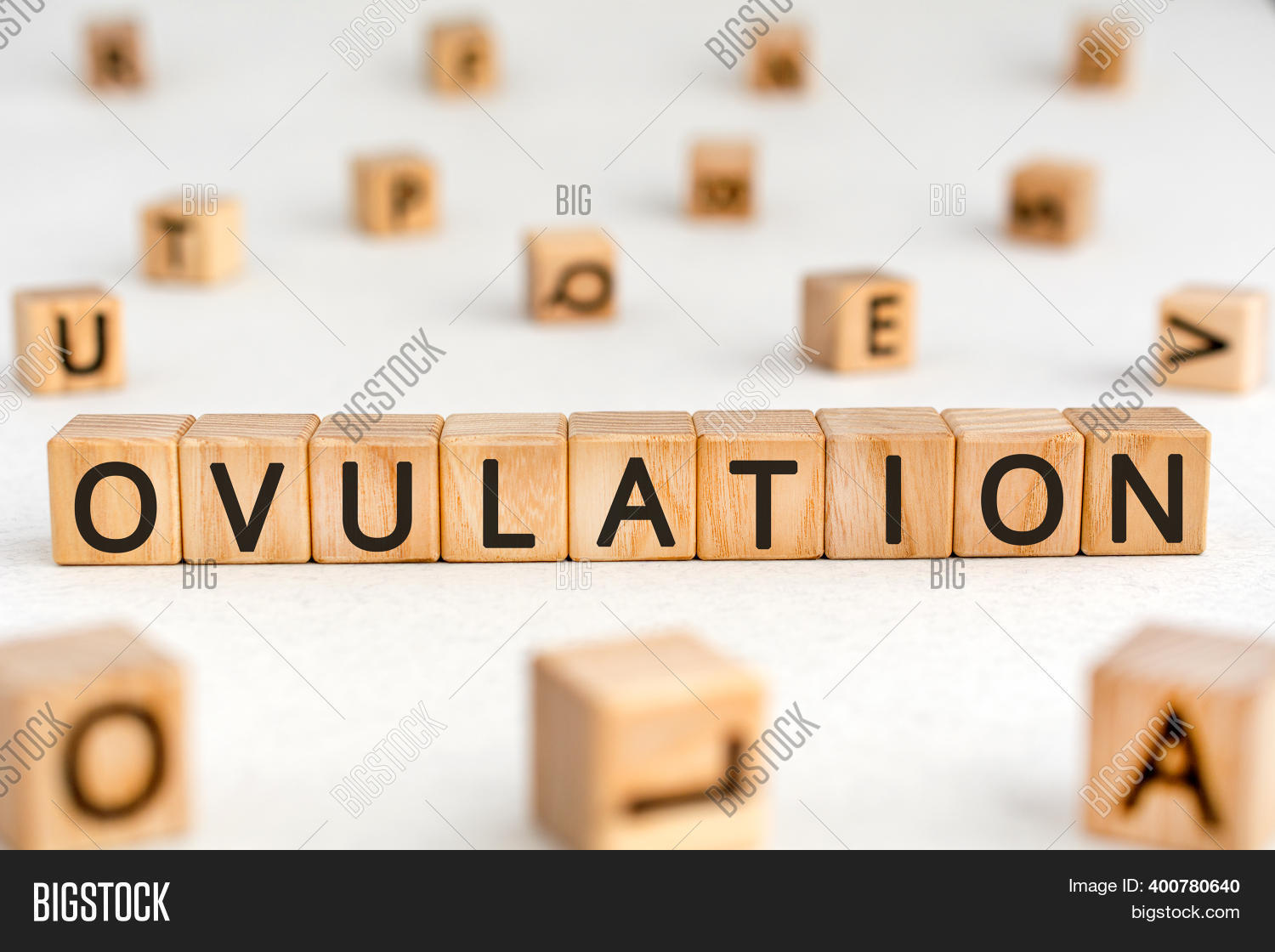 Ovulation Word Image & Photo (Free Trial) Bigstock