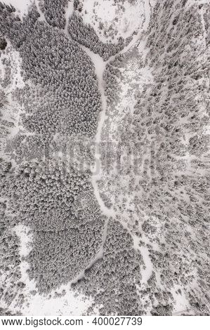 Aerial View Of A Snowy Pine Forest And Road , Hiking Path. Austrian Forests In Styria In Winter