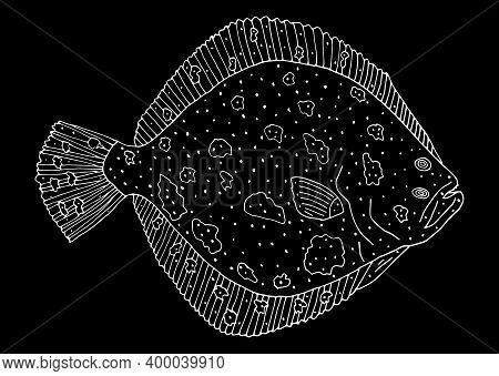 Turbot Fish Hand Drawn. White Contour Of Fish On Black Background. Design Element. Vector Illustrati