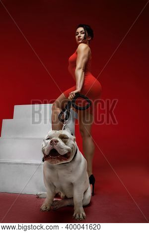Sexy And Srong Brunette Woman Posing With Bully Dog In Studio On Red Background. Rear View