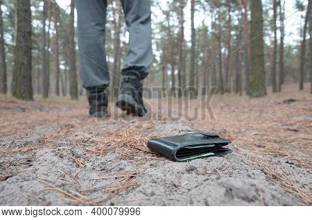 Young Man Loses His Purse With Euro Money Bills On Russian Autumn Fir Wood Path. Carelessness And Lo