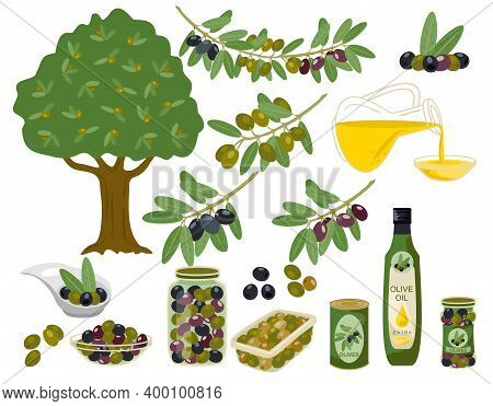 Olive Products Collection. Olive Oil, Branches, Bottles Illustration. Olive Oil Capacity Bottle And 