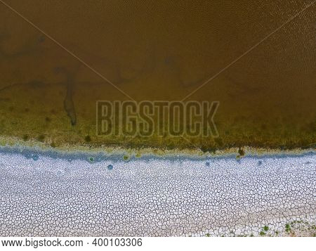 Close Up Of Drying Pond In The End Of Summer