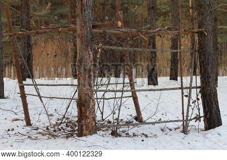 A Hut In The Forest In Winter Made Of Branches And Tree Trunks.