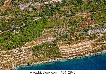 Croatian landscape