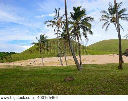 The Nature Of Easter Island, Landscape, Vegetation And Coast.