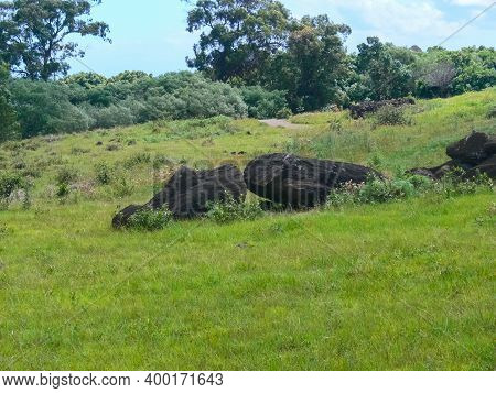 Statues Of The Gods Of Easter Island. Ancient Statues Of Ancient Civilization On Easter Island.