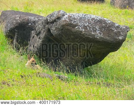 Statues Of The Gods Of Easter Island. Ancient Statues Of Ancient Civilization On Easter Island.