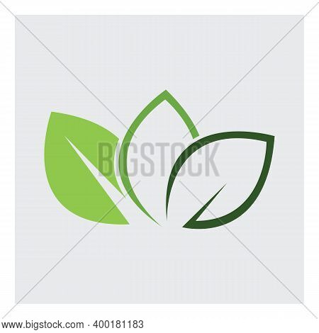 Leaf