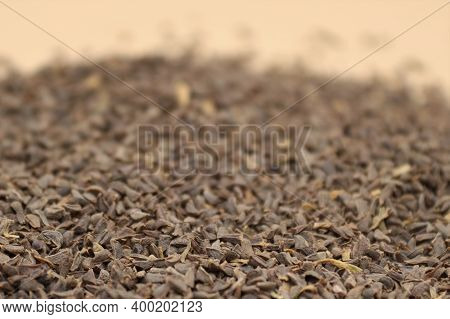 Peganum Harmala Or Syrian Wild Rue Background.