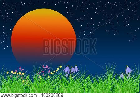Beautiful Night Meadow With Orange Sun. Sunrise Landscape With Copy Space. Nighttime Background With