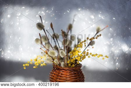 Willow And Mimosa Branches In A Vase