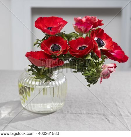 A Bouquet Of Red Anemones In A Transparent Glass Vase On A Table With A Gray Tablecloth. Morning