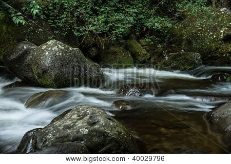อุทยานแห่งชาติหุบเขา Iao อุยฮาวาย
