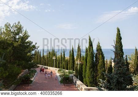 Alley In The Park With Cypresses In The Crimea In The Village Of Morskoe