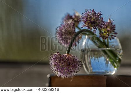 Blooming Onion Arrows In A Glass With Water, Still Life