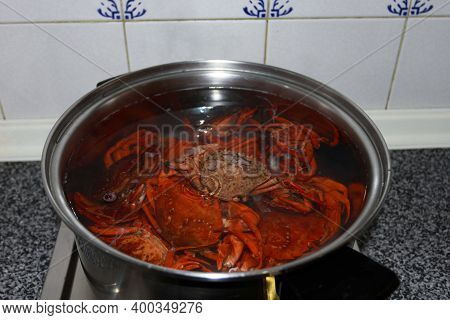 Fresh Whole Crabs Boiling In A Pan