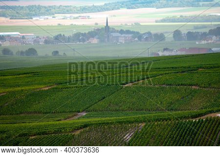 Landscape With Green Grand Cru Vineyards Near Epernay, Region Champagne, France In Rainy Day. Cultiv