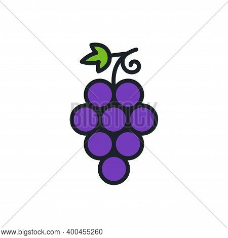 Grapes. Grape Icon. Linear Color Icon, Contour, Shape, Outline. Thin Line. Modern Minimalistic Desig