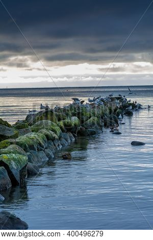 A Beautiful Sunset Over The Green Boulders On A Wave Breaker. Photo From Hallevik, Blekinge County, 