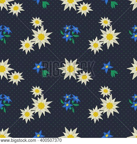 Edelweiss Floral Polka Dots Hand Drawn Seamless Vector Pattern. Star Shape Flower Symbol Of Alpes. M