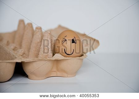 พอไข่