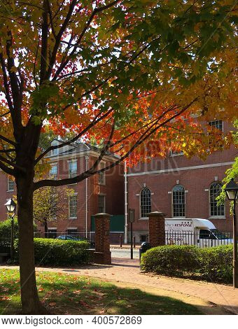 Philadelphia, Usa - November 6, 2016: Shady Tree With Vibrant Foliage