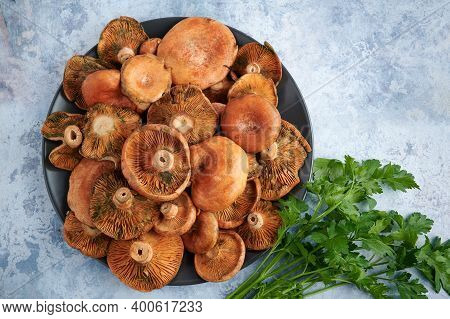 Plate Of Rovellons Or Niscalos, Typical Autumn Mushrooms, Top View