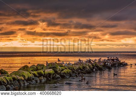 A Beautiful Sunset Over The Green Boulders On A Wave Breaker. Photo From Hallevik, Blekinge County, 