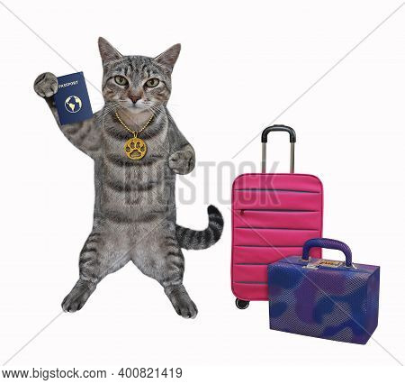 A Gray Cat Tourist With Suitcases And A International Passport Is Going To Travel. White Background.