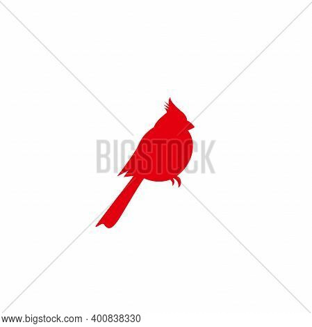 Northern Cardinal, Red Cardinal Bird. Redbird Christmas Symbol.