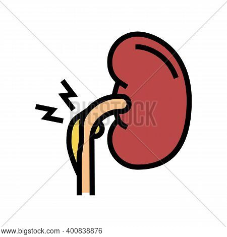 Nephritic Syndrome Color Icon Vector. Nephritic Syndrome Sign. Isolated Symbol Illustration
