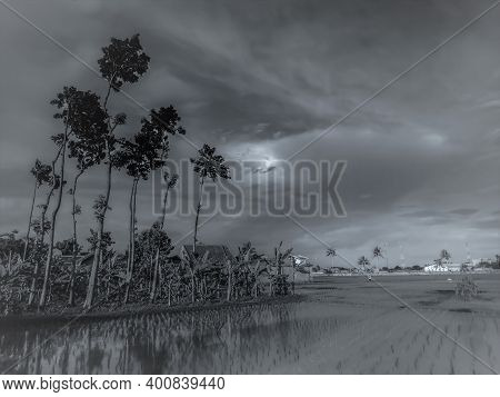 Cianjur, West Java, Indonesia, December 23, 2020, Natural Scenery In The Afternoon In Cianjur, West 