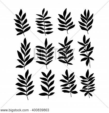 Laurel Leaves Black Vector &amp; Photo (Free Trial) | Bigstock
