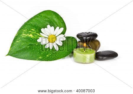 hvid blomst med grønne blade isoleret på hvid